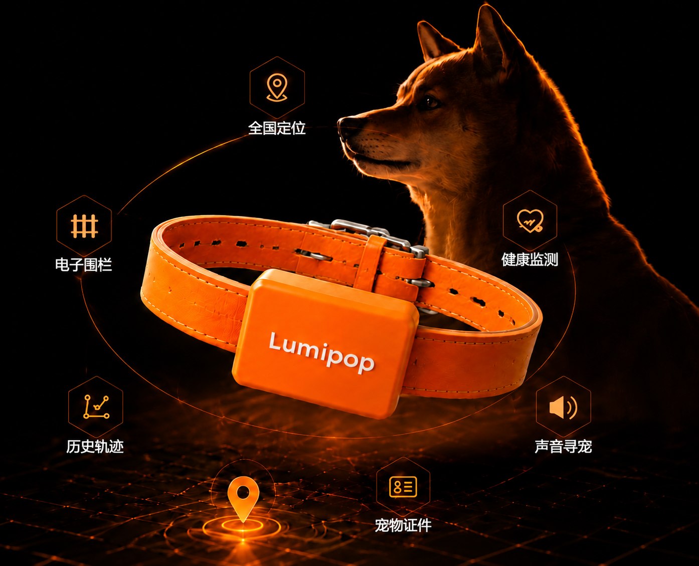 Lumipop 宠物智能项圈产品图